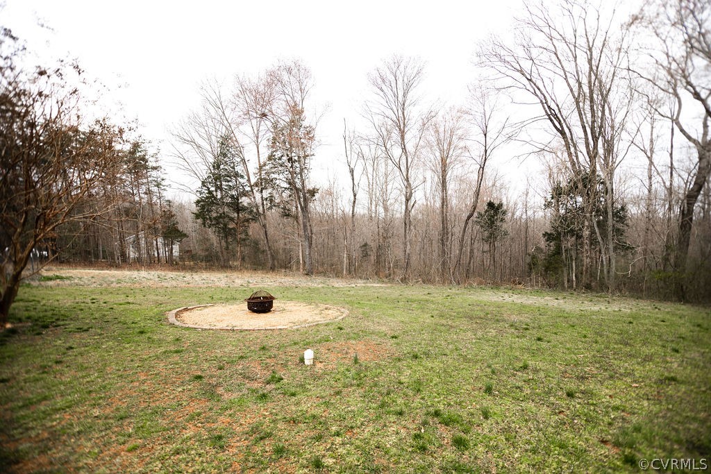 1595 Scuffletown Road Rice, VA 23966 - Photo 47 of 49 a view of a backyard with large trees
