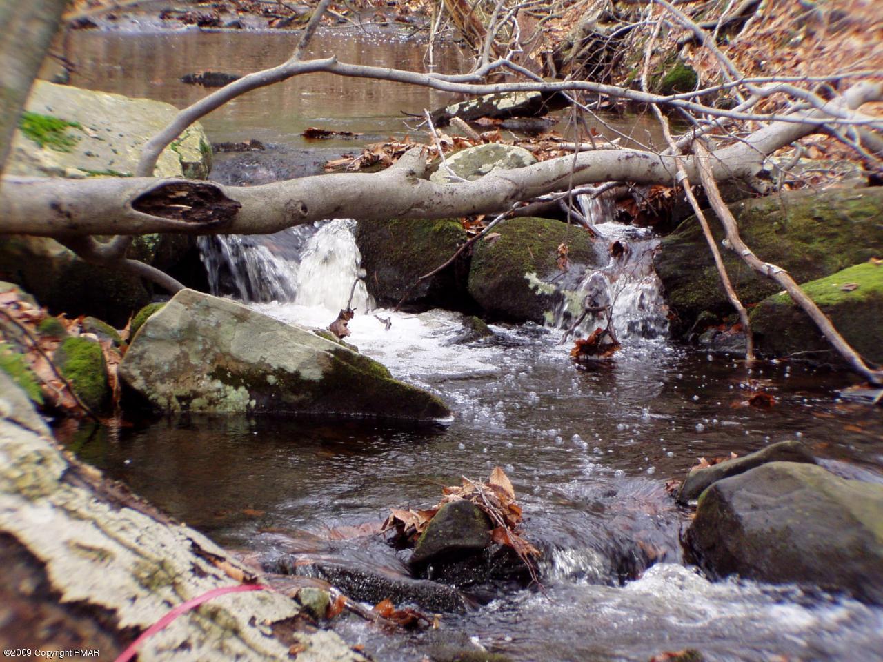 447 Rt Canadensis Pa Canadensis, PA 18325 - Photo 1 of 5