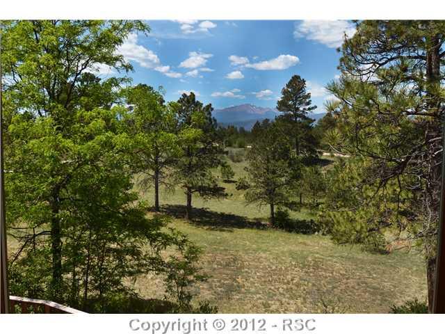11685 Howells Road Colorado Springs, CO 80908 - Photo 15 of 16 PIKES PEAK FRAMED BY MATURE TREES & SUNNY OPEN MEADOWS.