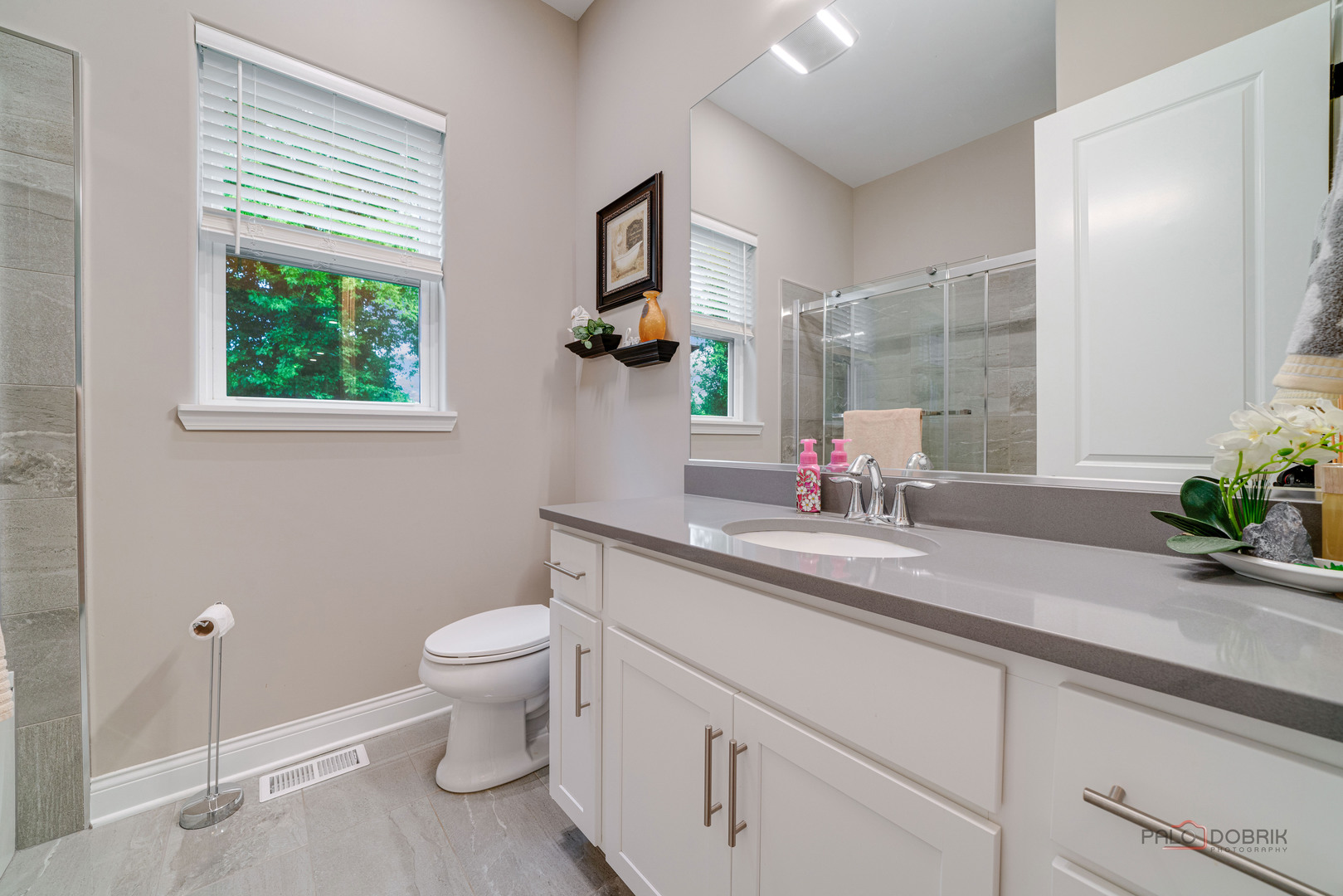 3300 Cornflower Way Spring Grove, IL 60081 - Photo 20 of 34 a bathroom with a sink a mirror and a toilet