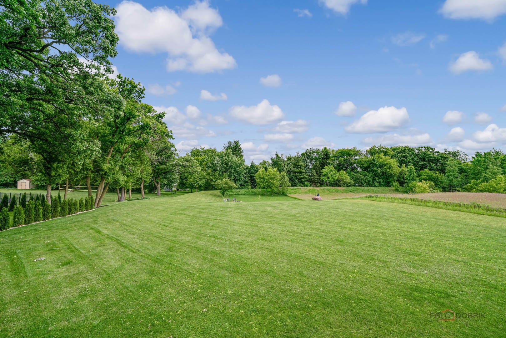 3300 Cornflower Way Spring Grove, IL 60081 - Photo 33 of 34 a view of a big yard with lots of green space