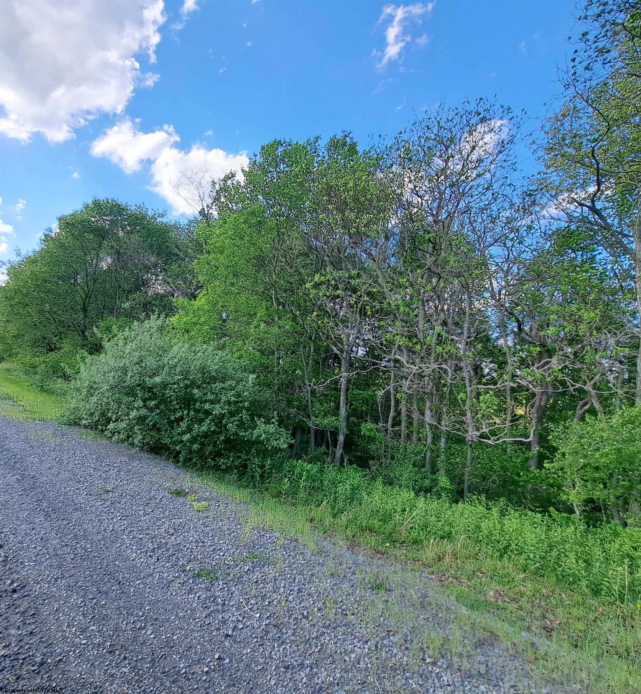 Tbd Hudson Mill Road Albright, WV 26519 - Photo 9 of 10 Gallery Image 9