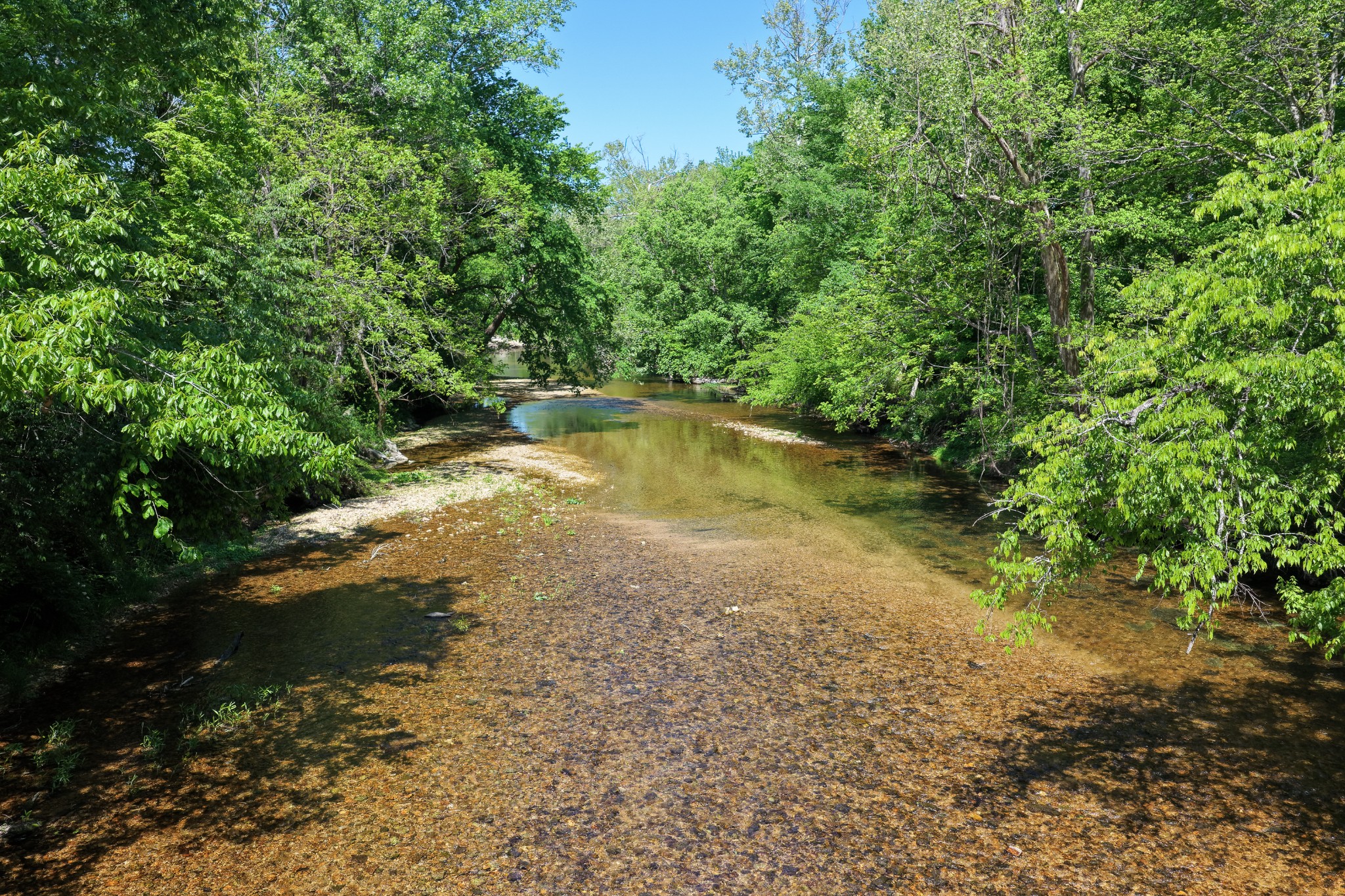 0 Phillips Chapel Road Waynesboro, TN 38485 - Photo 14 of 28 Gallery Image 14