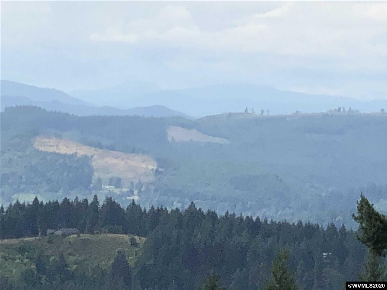 17890 Richardson Road Dallas, OR 97338 - Photo 5 of 13