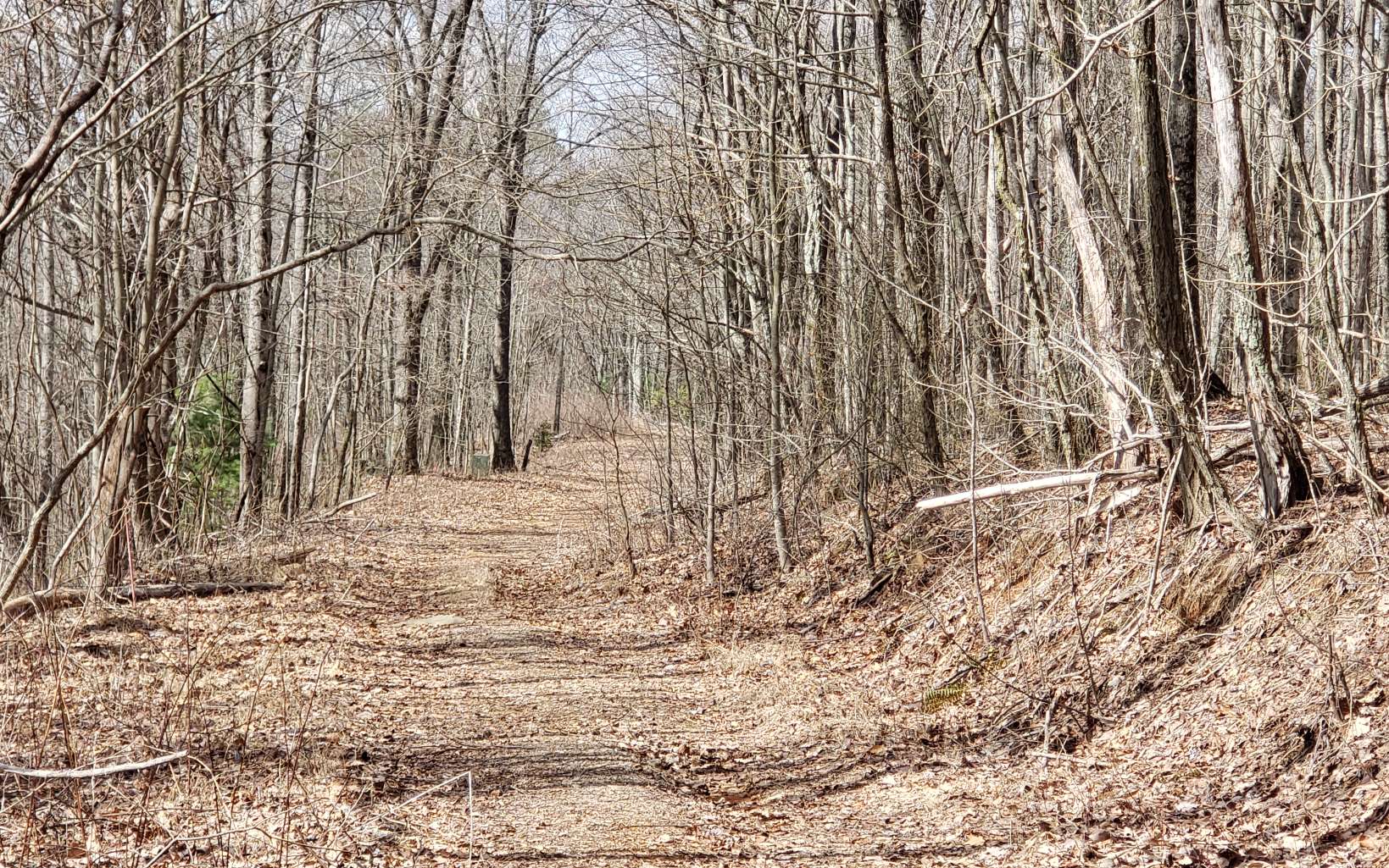 35 Calvender Road Turtletown, TN 37391 - Photo 13 of 14 Additional View