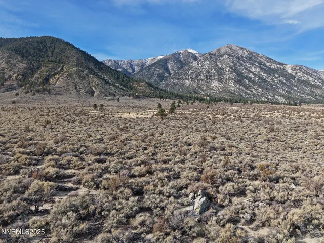 $275,000 | 1 Foothill Road, Markleeville, CA 96120