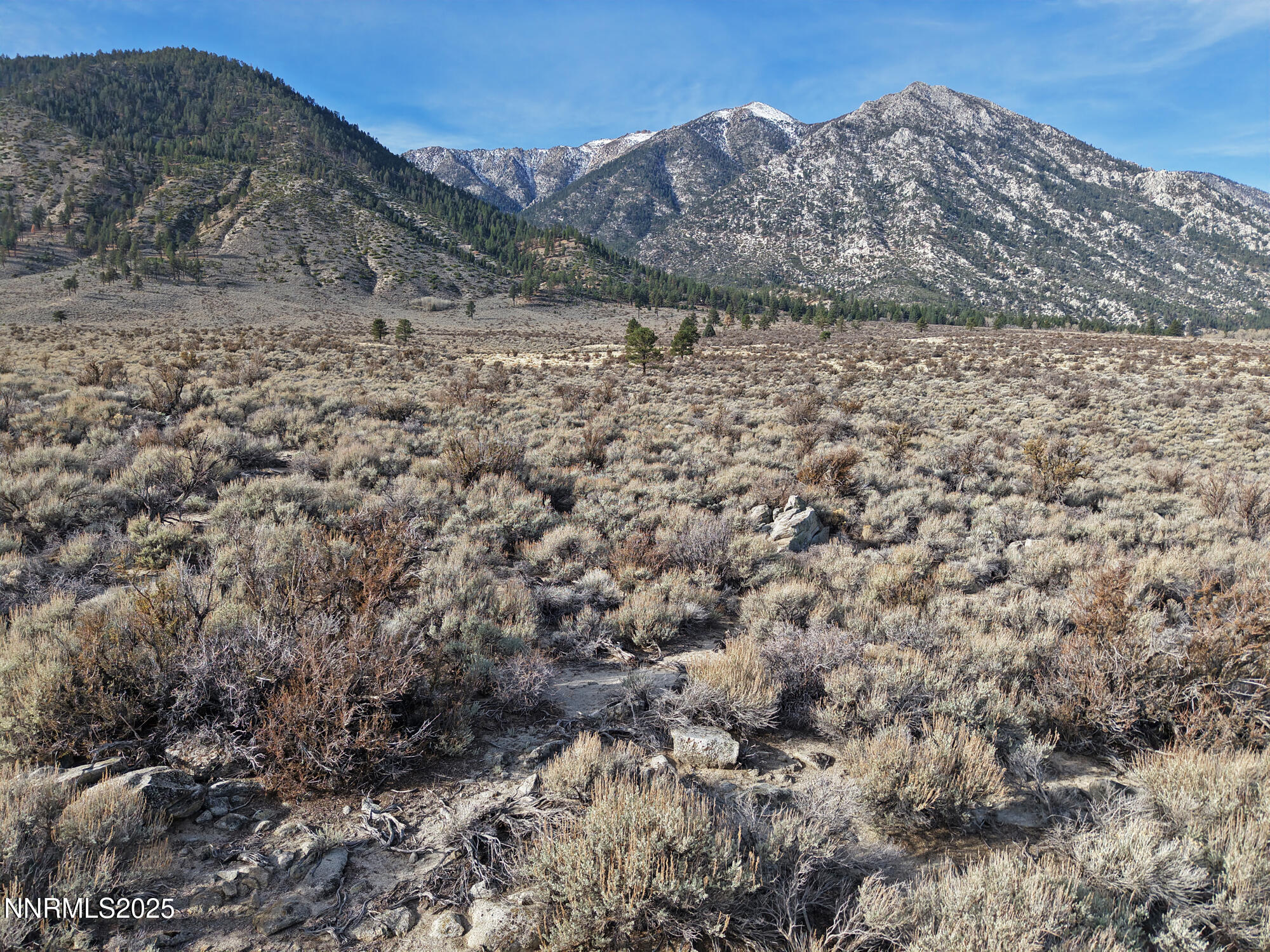 1 Foothill Road Markleeville, CA 96120 - Photo 14 of 23 a view of a dry yard with mountains in the background