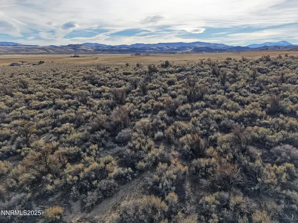 a view of a dry yard