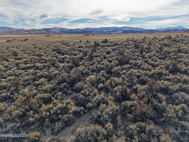 a view of a dry yard