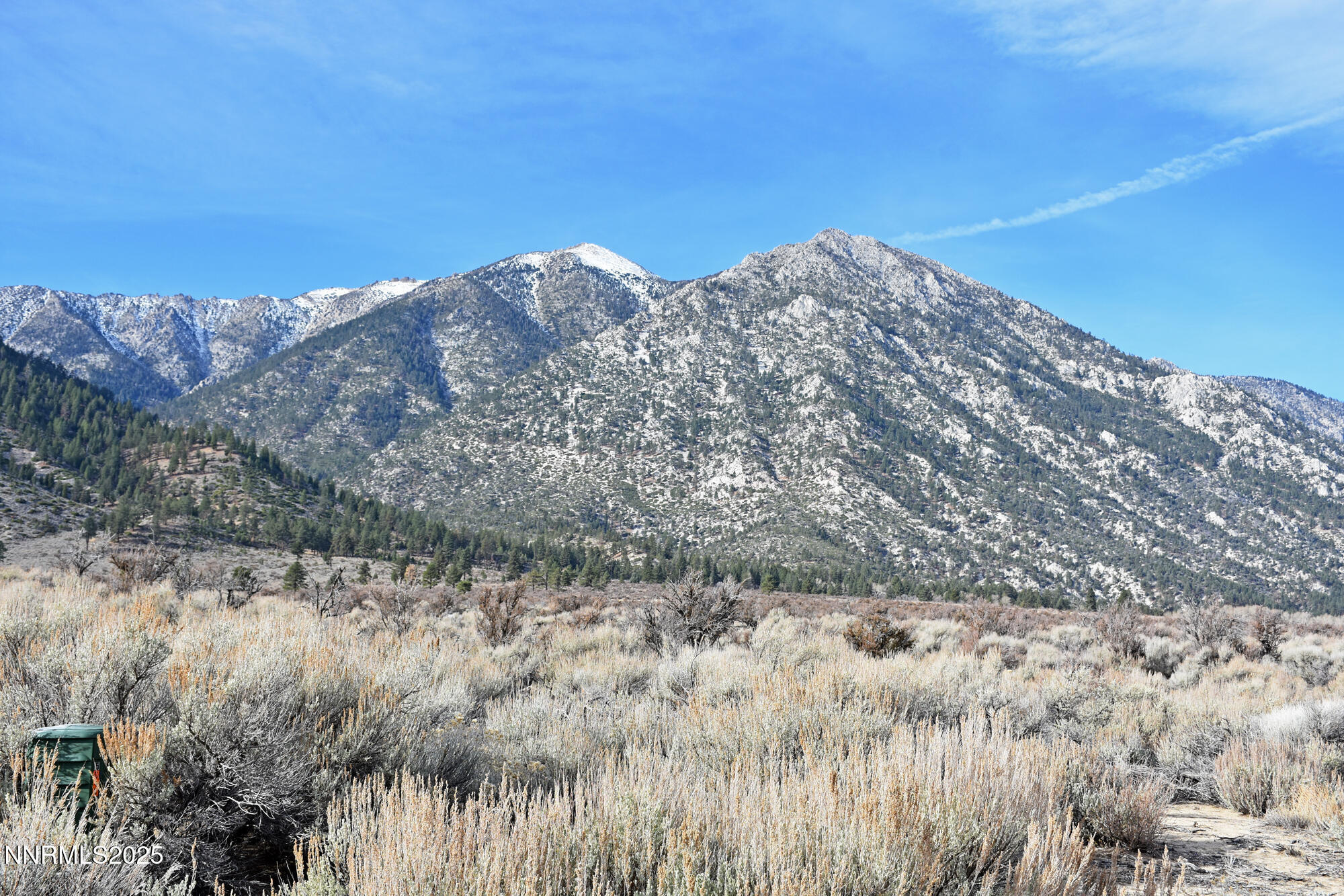 1 Foothill Road Markleeville, CA 96120 - Photo 23 of 23 a view of a dry yard