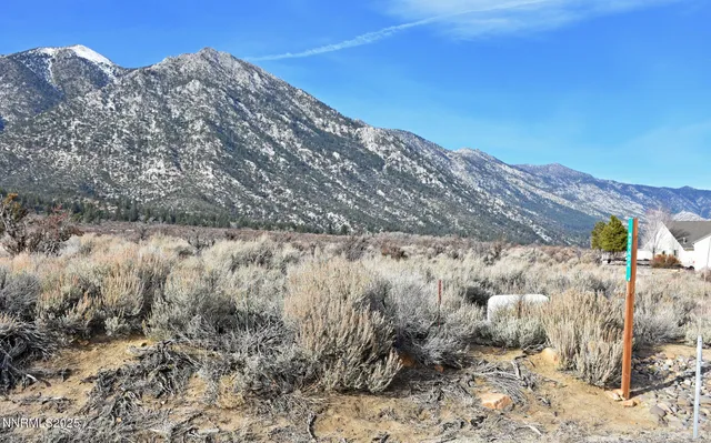 a view of a dry yard
