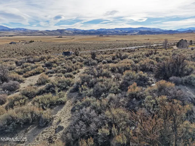 a view of a dry yard with mountain