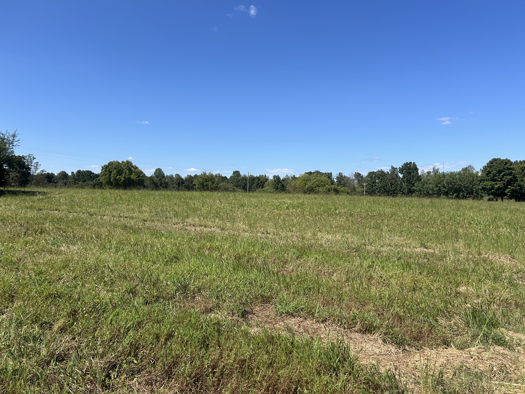 236 Beartown Road Loretto, TN 38469 - Photo 11 of 19 a view of a lake with houses in the back