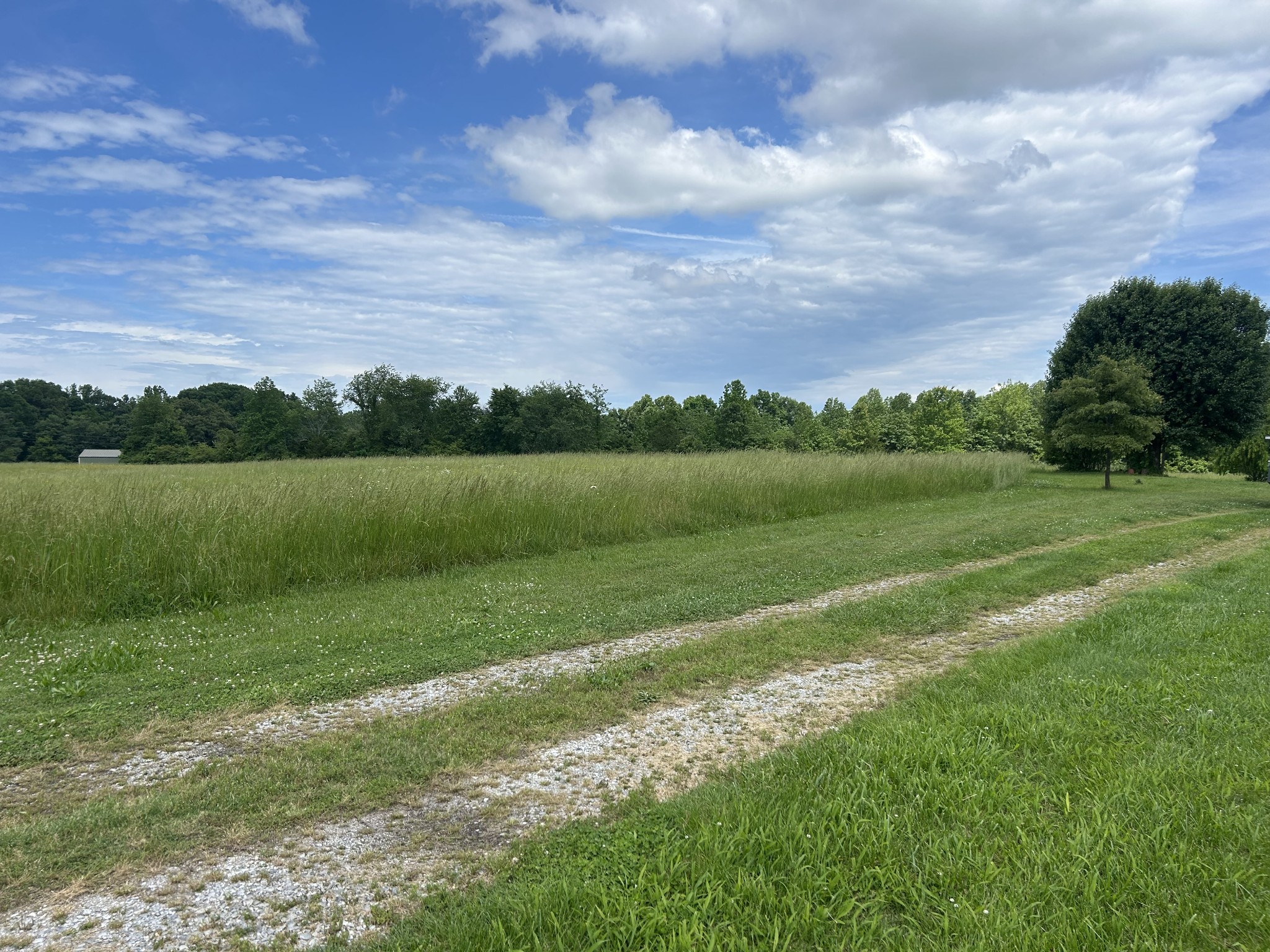 236 Beartown Road Loretto, TN 38469 - Photo 17 of 19 a view of outdoor space and yard