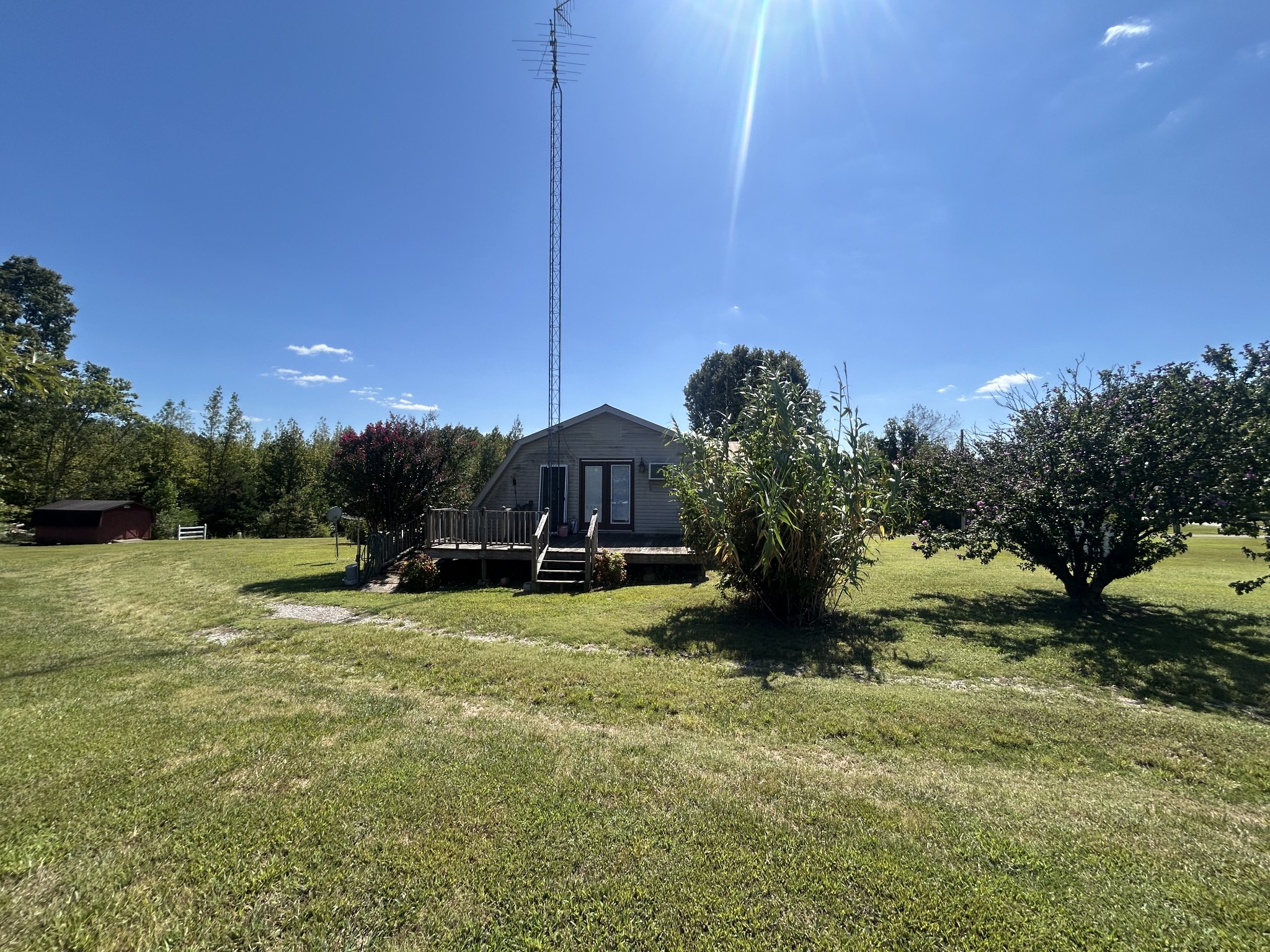 236 Beartown Road Loretto, TN 38469 - Photo 18 of 19 a view of a garden with a tree