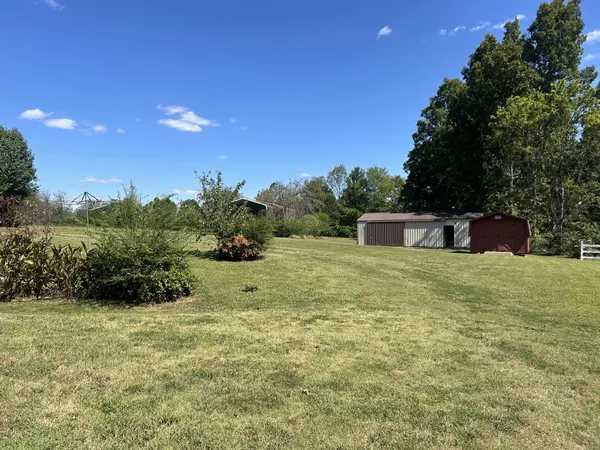 a big yard with lots of green space