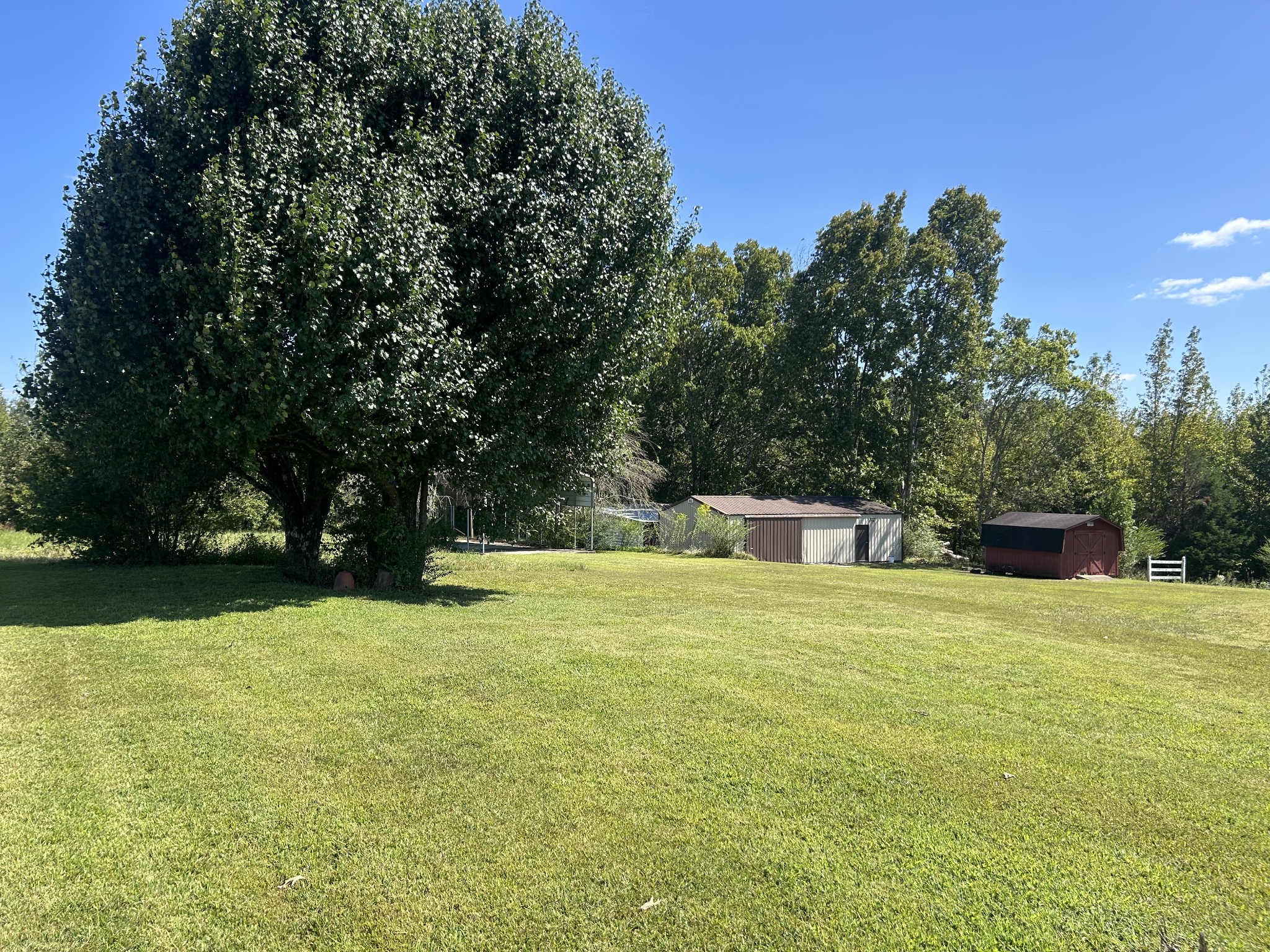 236 Beartown Road Loretto, TN 38469 - Photo 8 of 19 a swimming pool with trees in the background