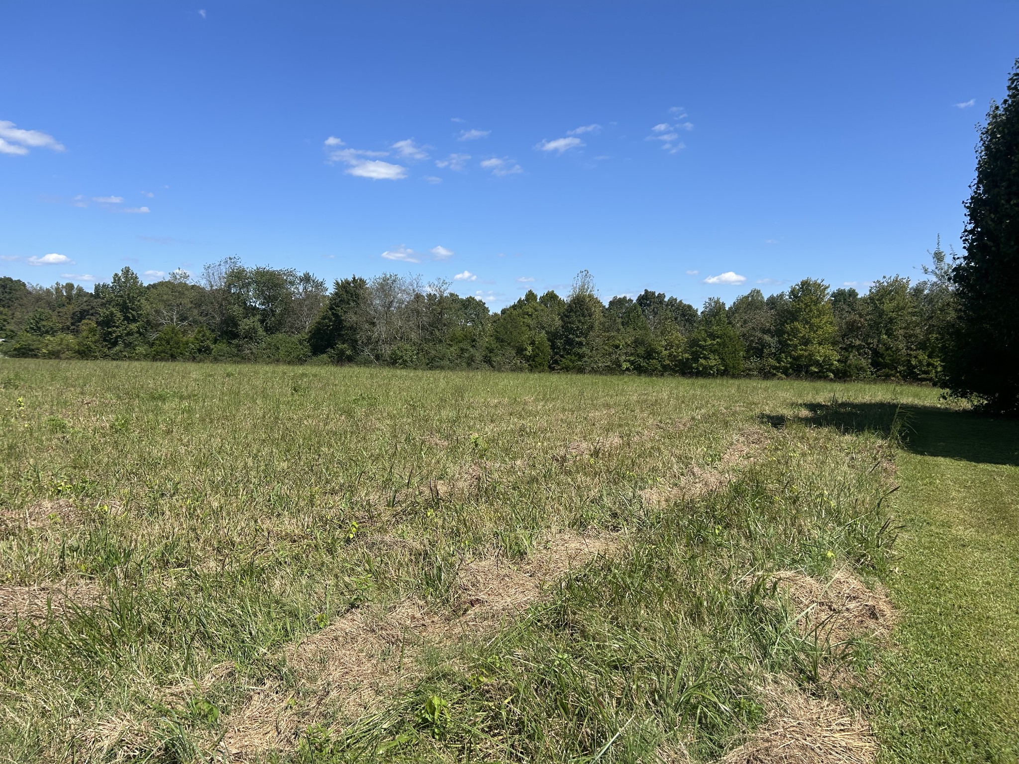 236 Beartown Road Loretto, TN 38469 - Photo 10 of 19 a view of lake with green space