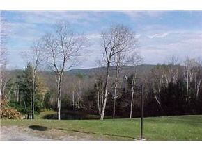 157 Brighton Road Croydon, NH 03773 - Photo 5 of 5