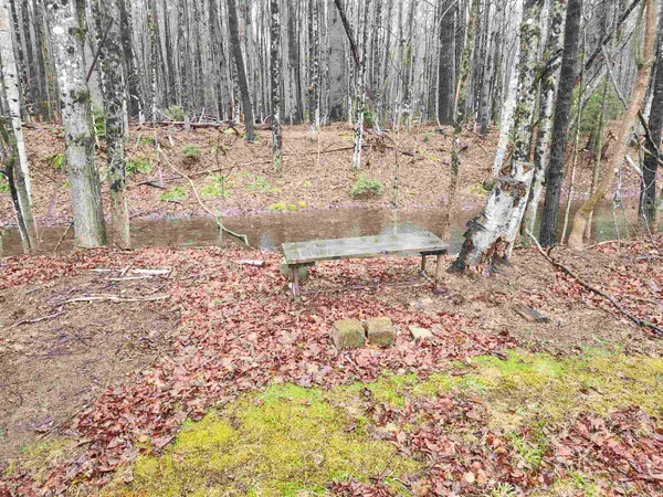 $379,900 | 1191 Highway 302, Bartlett, NH 03812