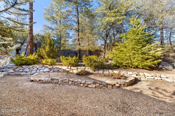 a view of a yard with plants and large trees