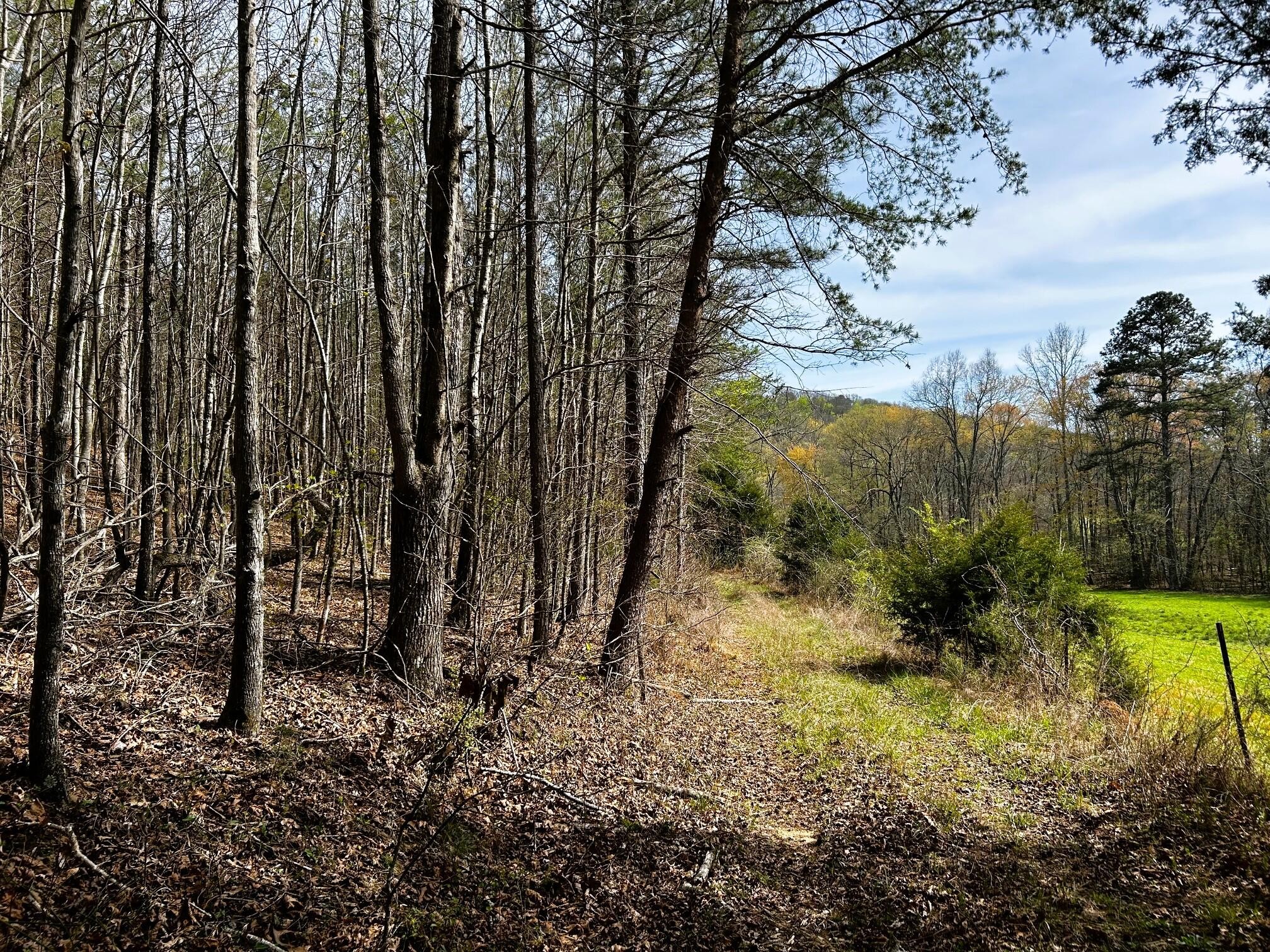 7 Southwest Owl Hollow Road McDonald, TN 37353 - Photo 11 of 32
