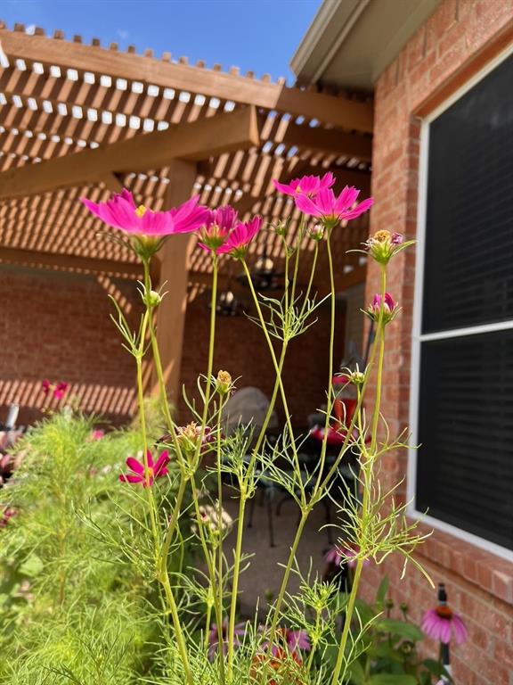 1224 Harvard Lane Allen, TX 75002 - Photo 22 of 26