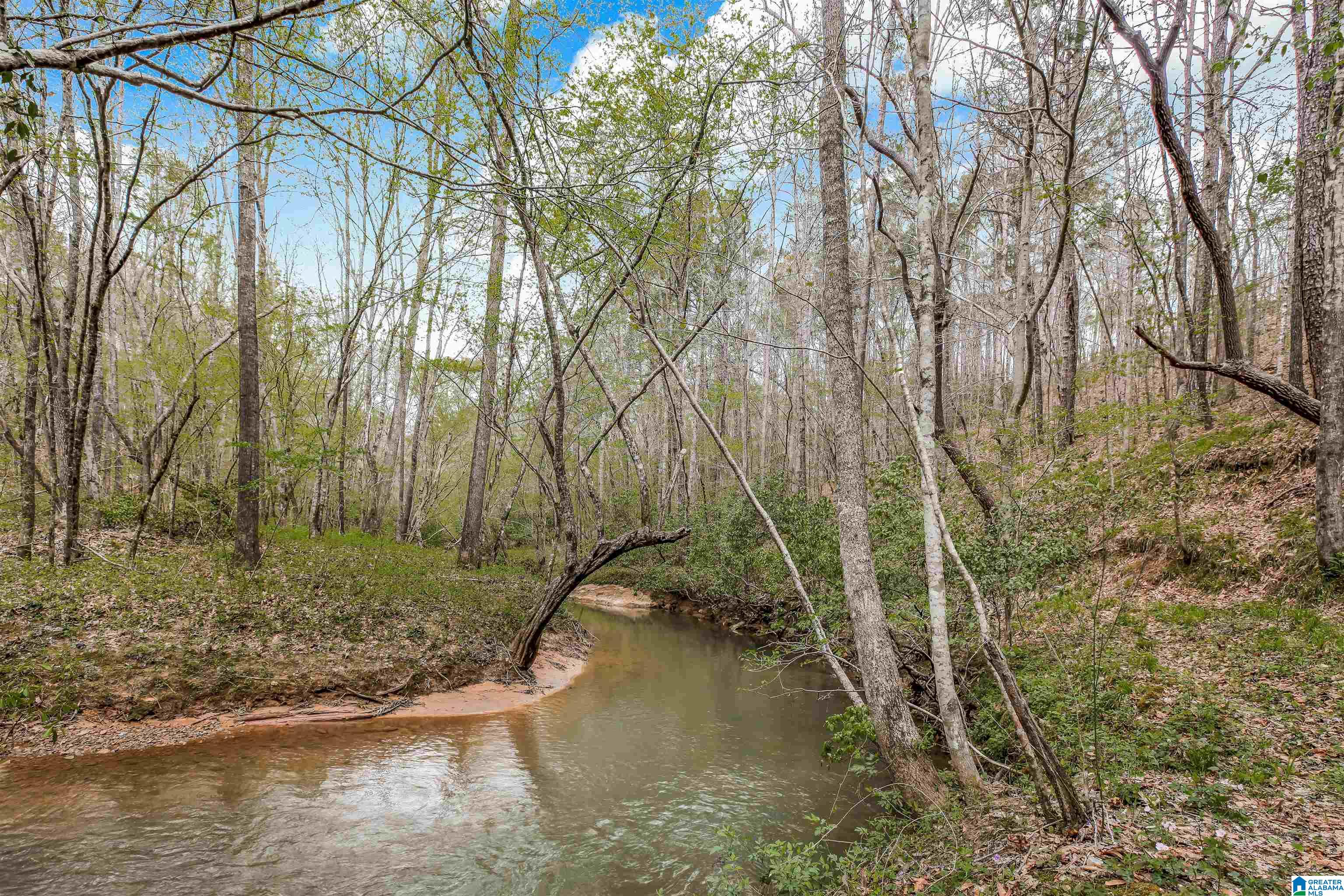 120 Mountain Crk Road Springville, AL 35146 - Photo 8 of 31