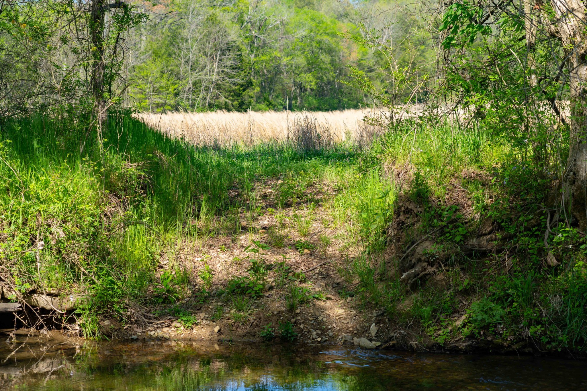 0 Pee Dee Branch Road Cottontown, TN 37048 - Photo 17 of 46 Gallery Image 17