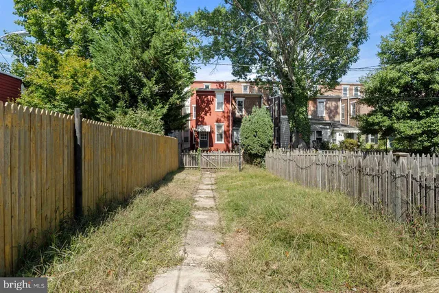 a view of a park with large trees and a wooden fence