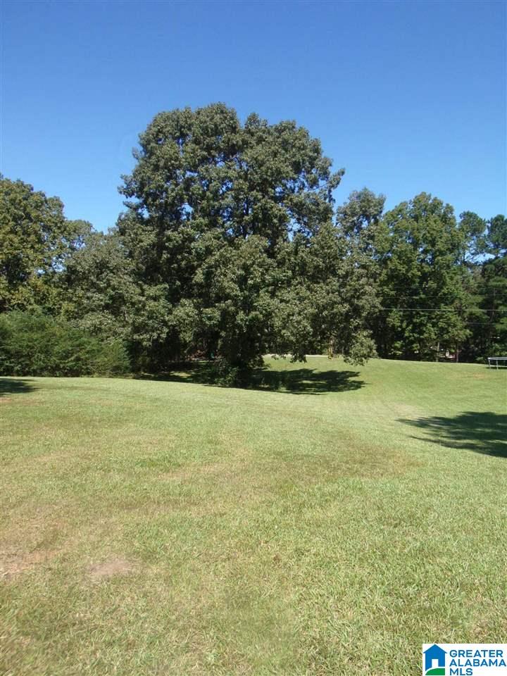 21353 Washington Drive Vance, AL 35490 - Photo 43 of 48