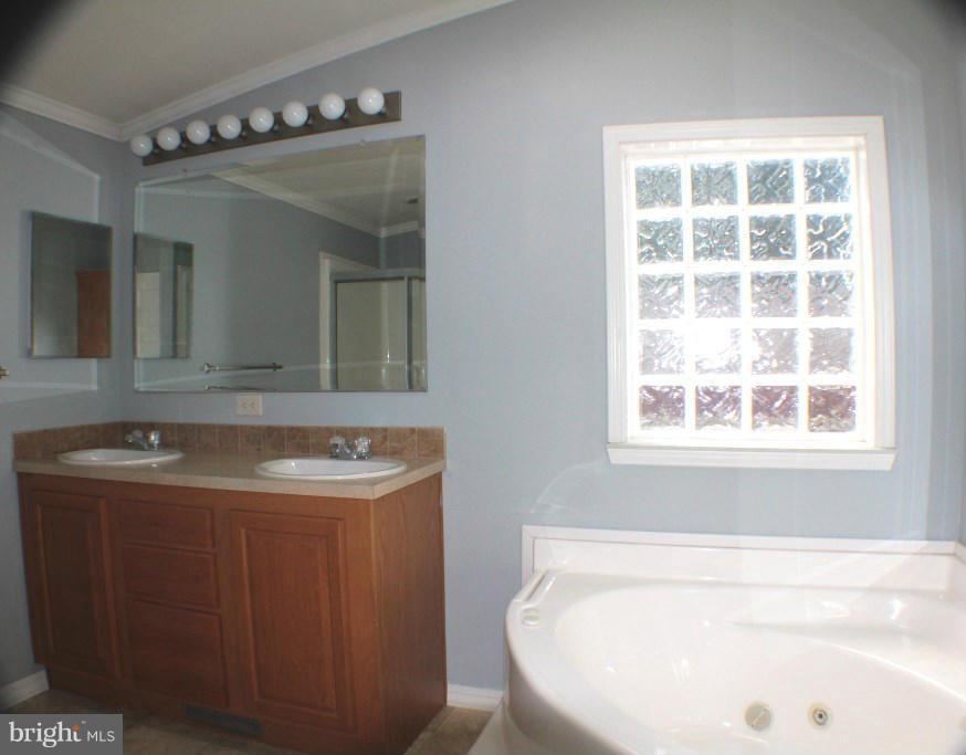136 Trailway Road Baltimore, MD 21220 - Photo 12 of 15 Bath (Master)