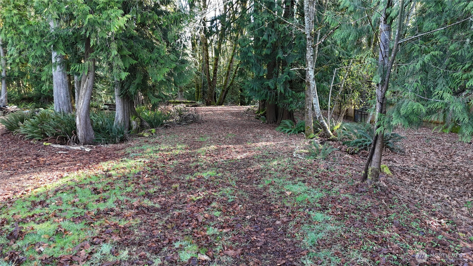 2254 Yew Street Road Bellingham, WA 98229 - Photo 1 of 19