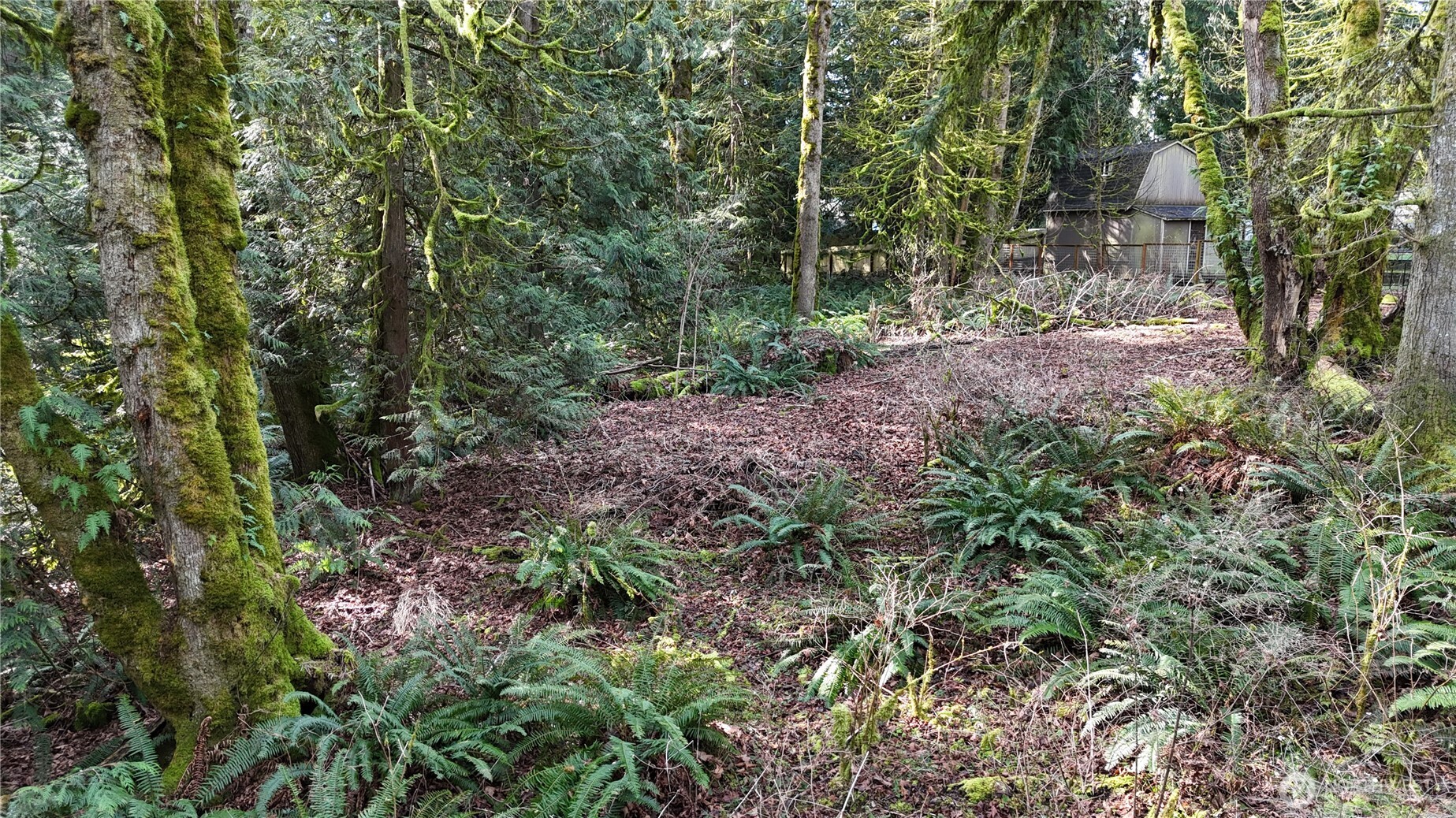 2254 Yew Street Road Bellingham, WA 98229 - Photo 2 of 19