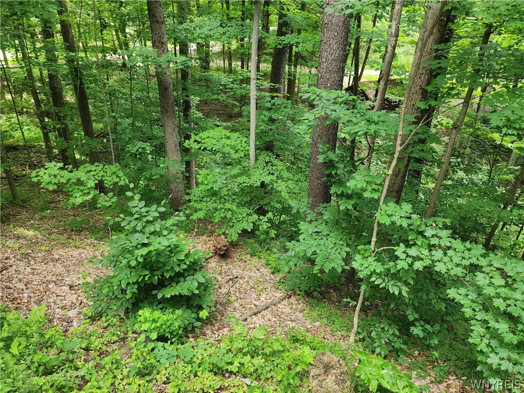 16 Hemlock Road Sheldon, NY 14167 - Photo 24 of 33
