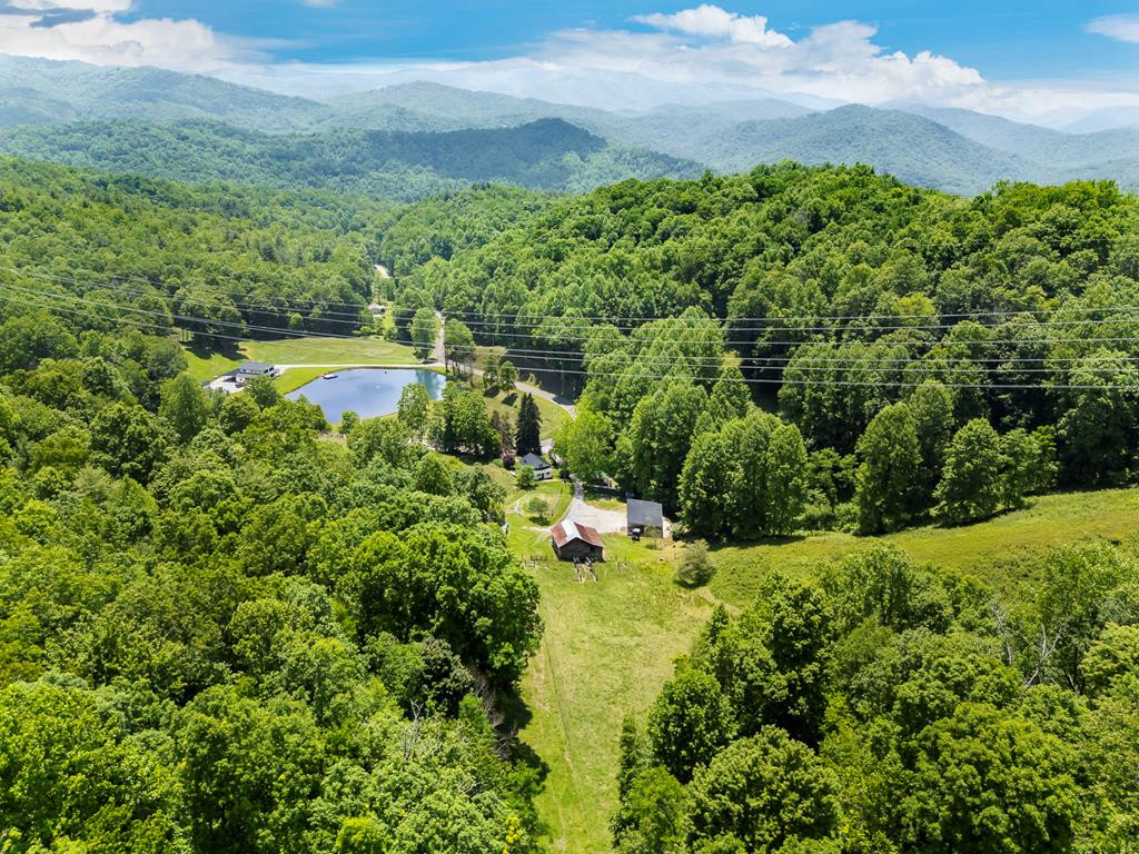 1651 Winding Stairs Road Topton, NC 28781 - Photo 71 of 100