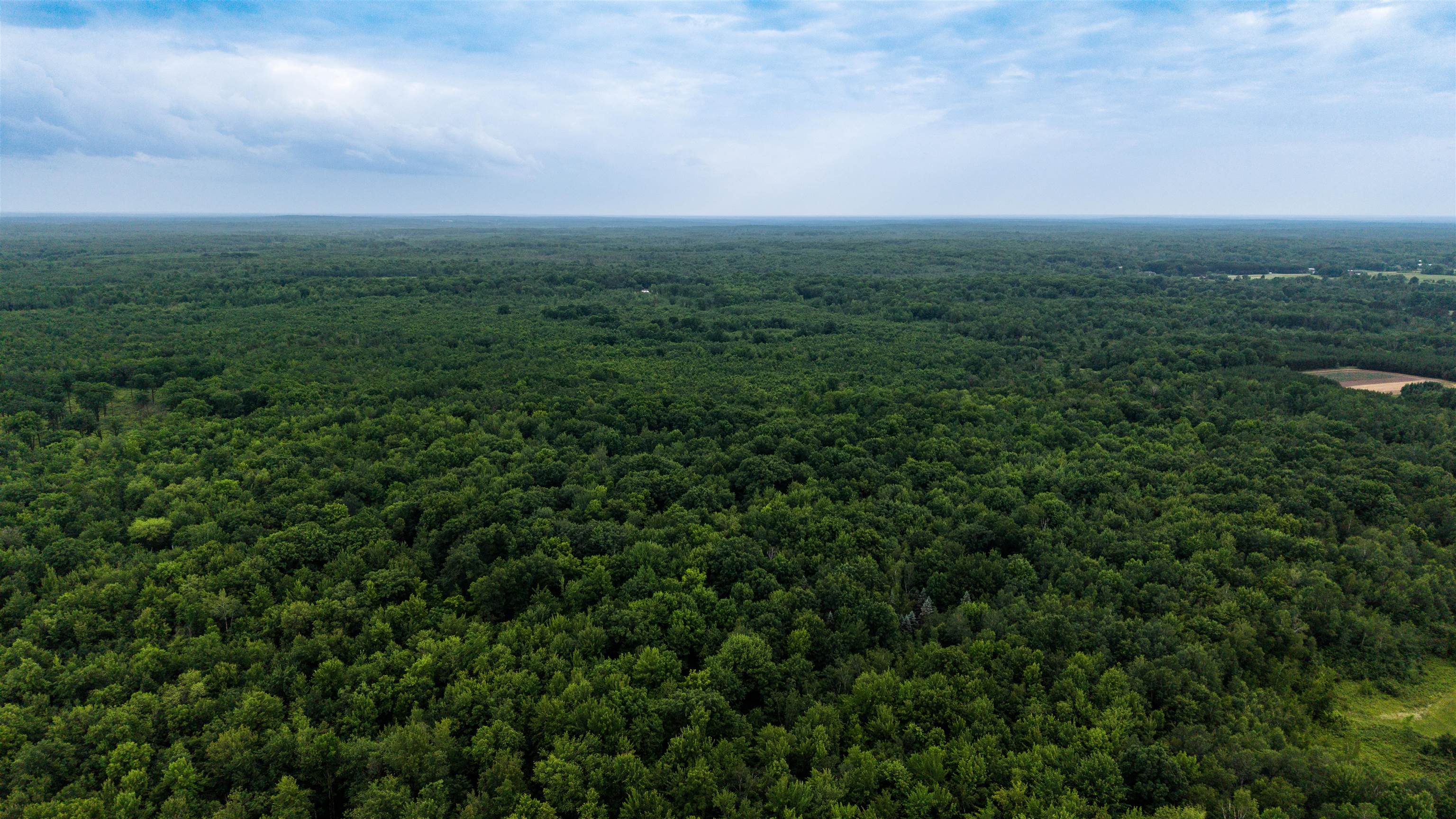40-acres Zogata Road Mosinee, WI 54455 - Photo 4 of 7