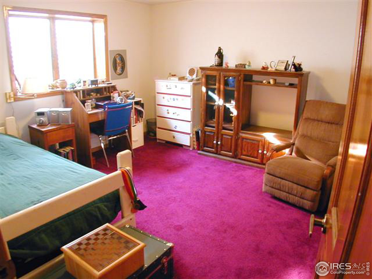 7090 Spring Glade Road Loveland, CO 80538 - Photo 16 of 18 a room with furniture and a rug