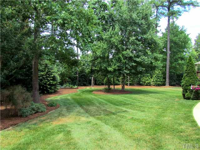 501 Chatterson Drive Raleigh, NC 27615 - Photo 23 of 25 Back Yard