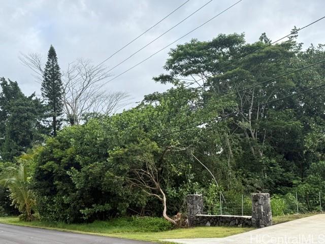 15-1611 Beach Road Keaau, HI 96749 - Photo 1 of 12