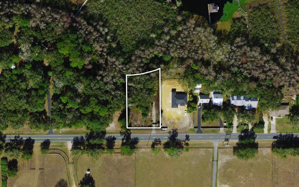 a view of swimming pool with lawn chairs and plants