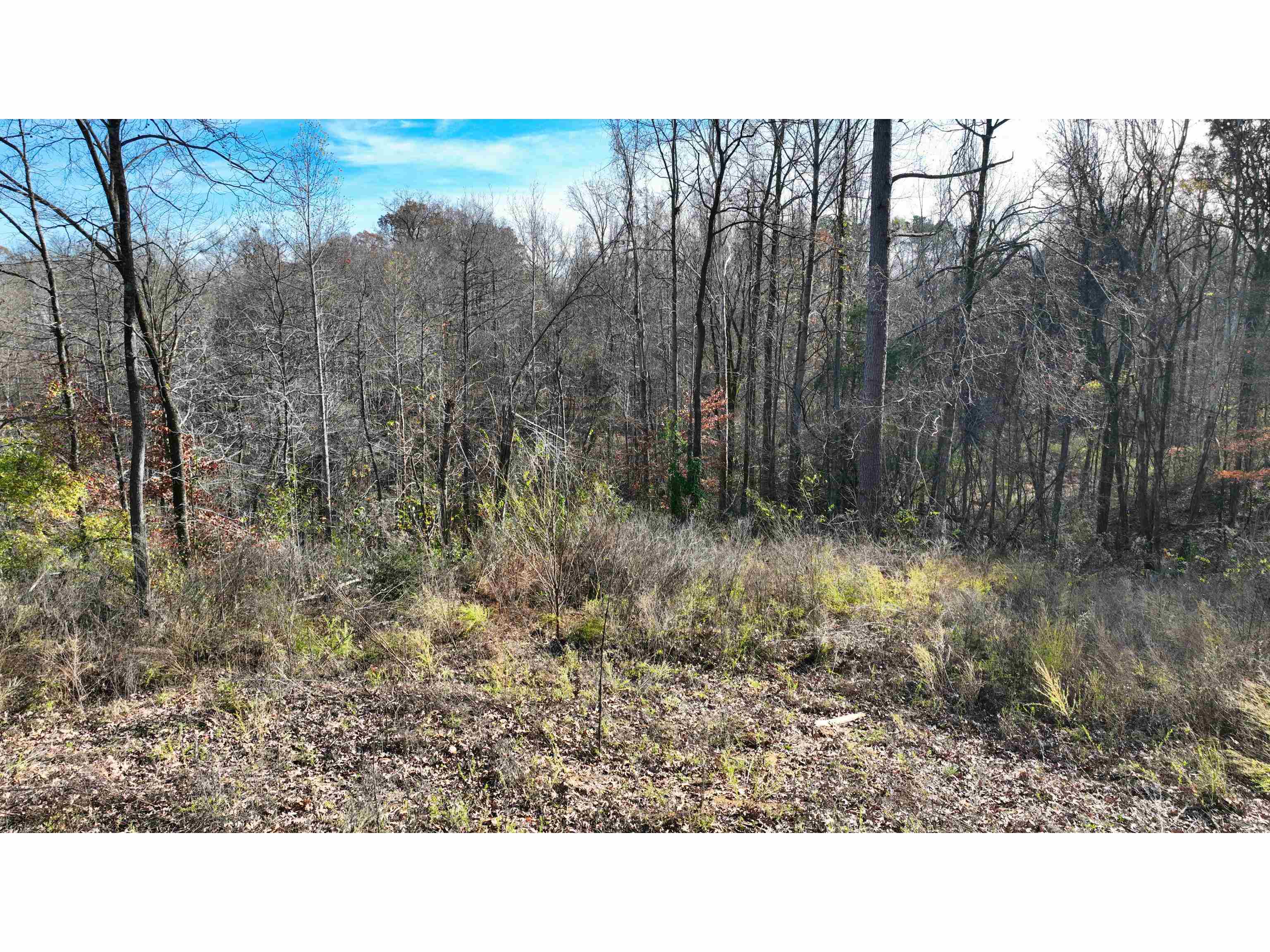 Munford Giltedge Road Burlison, TN 38015 - Photo 14 of 16