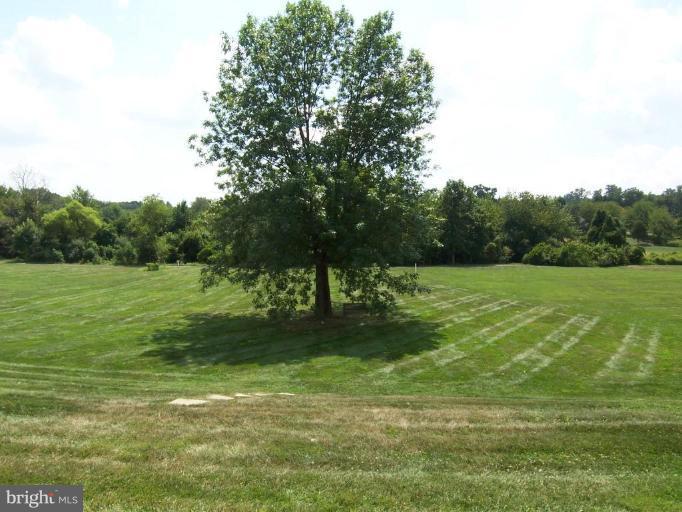 1154 Markell Court Reston, VA 20194 - Photo 23 of 23 Back yard