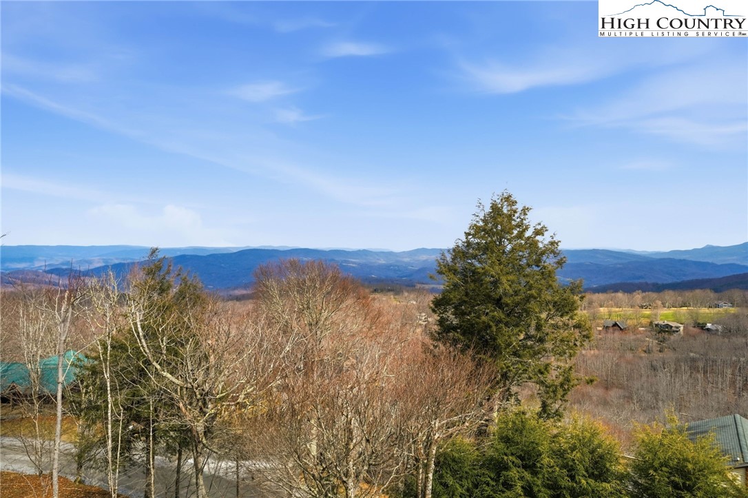 110 Pinnacle Ridge Road Beech Mountain, NC 28604 - Photo 22 of 50