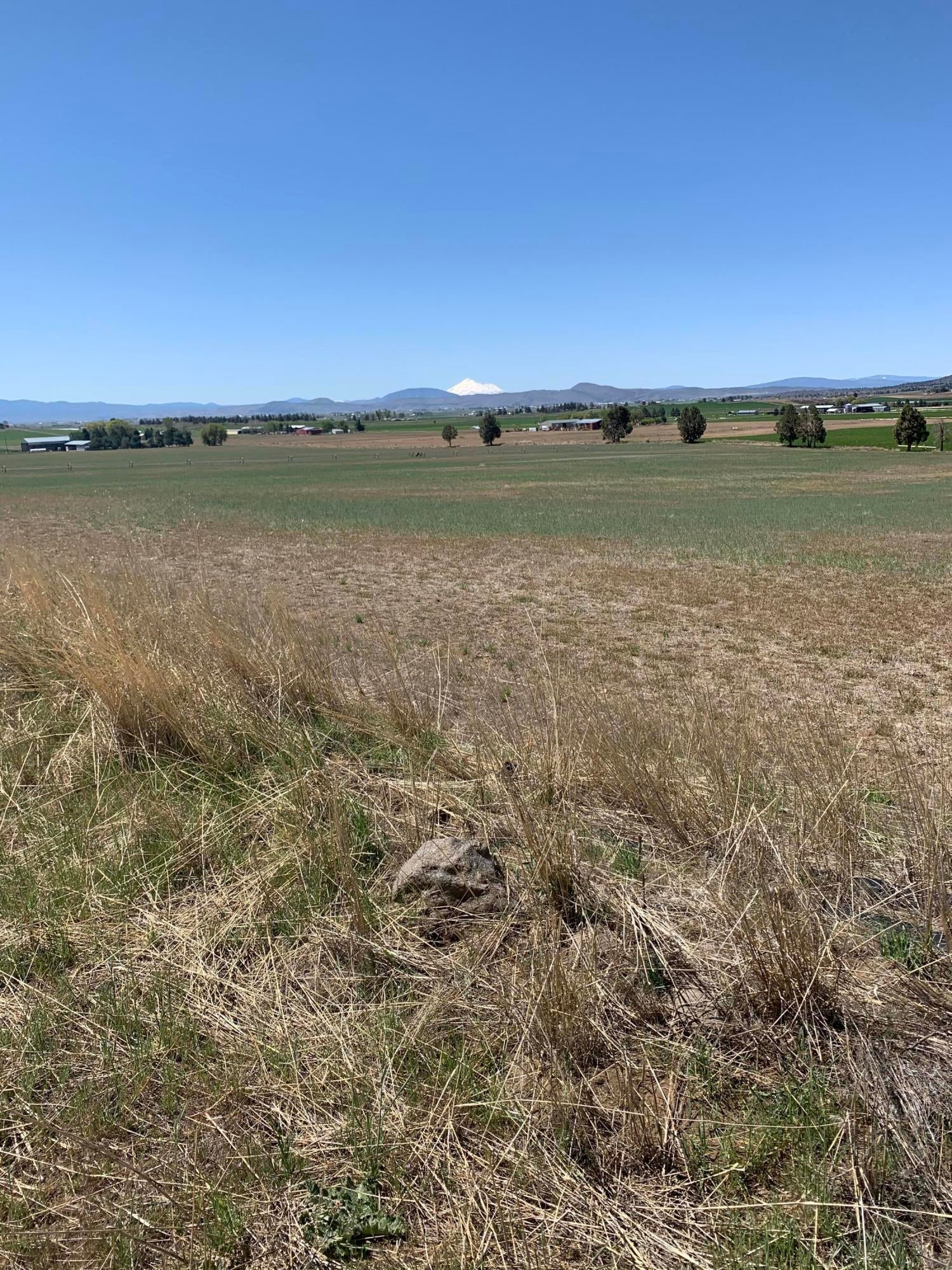 100 Maupin Road Malin, OR 97632 - Photo 14 of 21 Pic 6