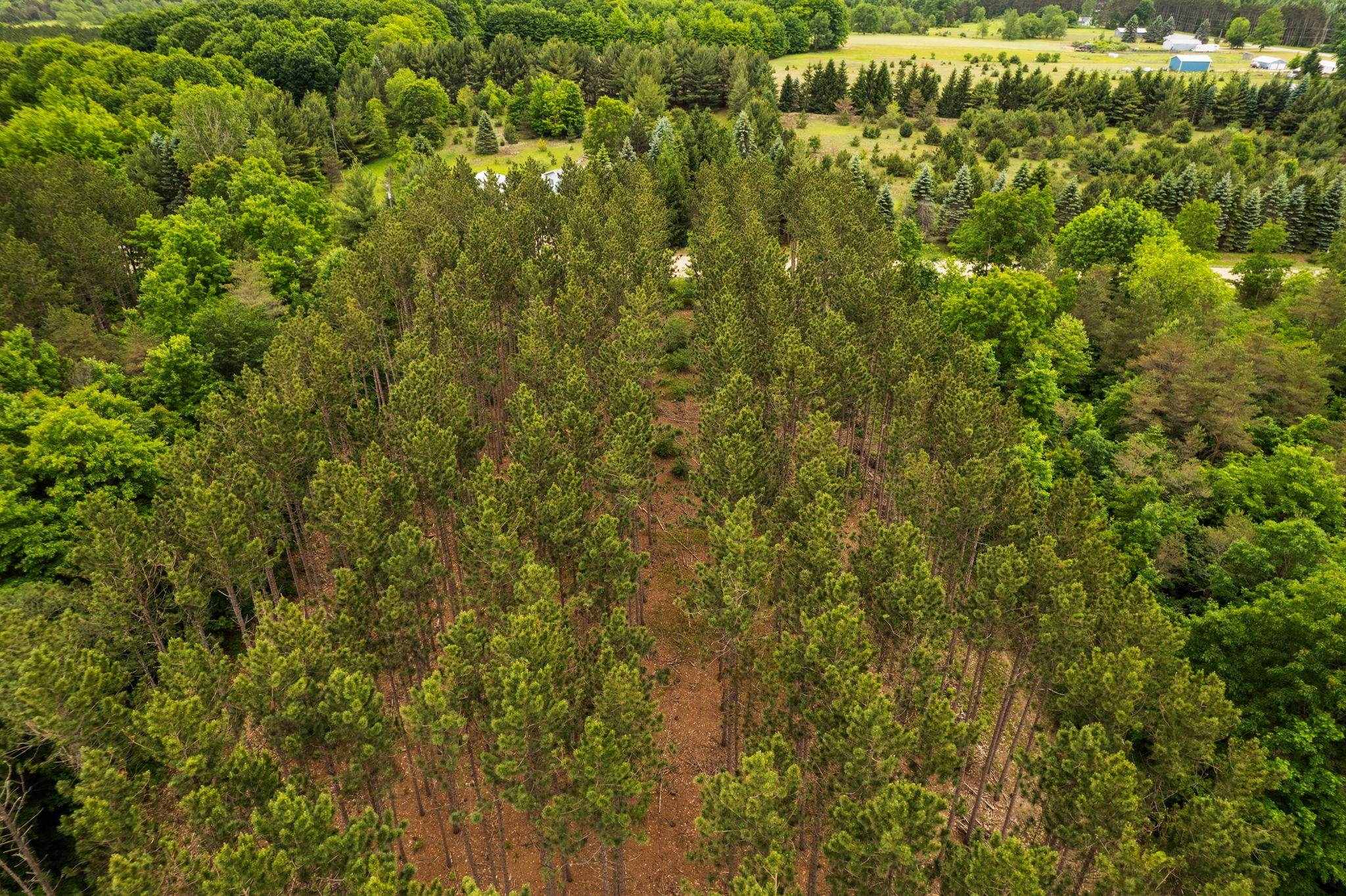 Parcel E St Johns Road Interlochen, MI 49643 - Photo 21 of 39