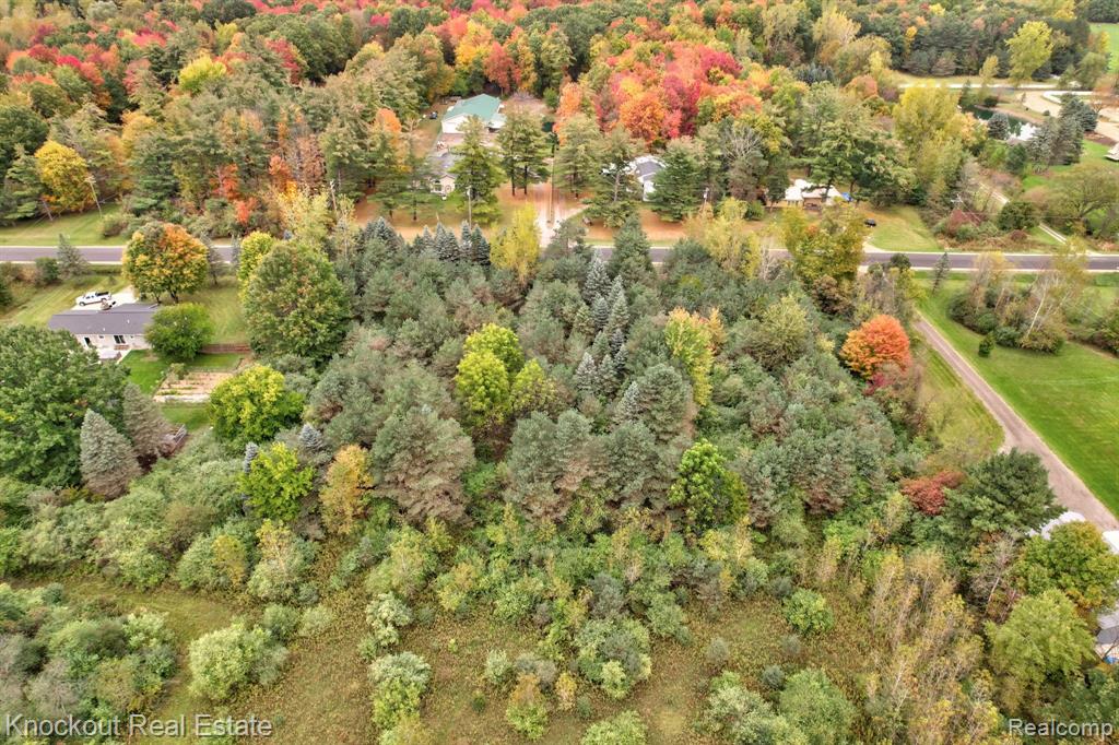 0 Birch Run Road Munger, MI 48747 - Photo 12 of 18