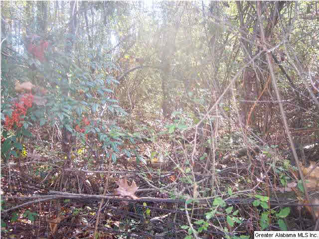 Bear Creek Circle Oneonta, AL 35121 - Photo 4 of 4