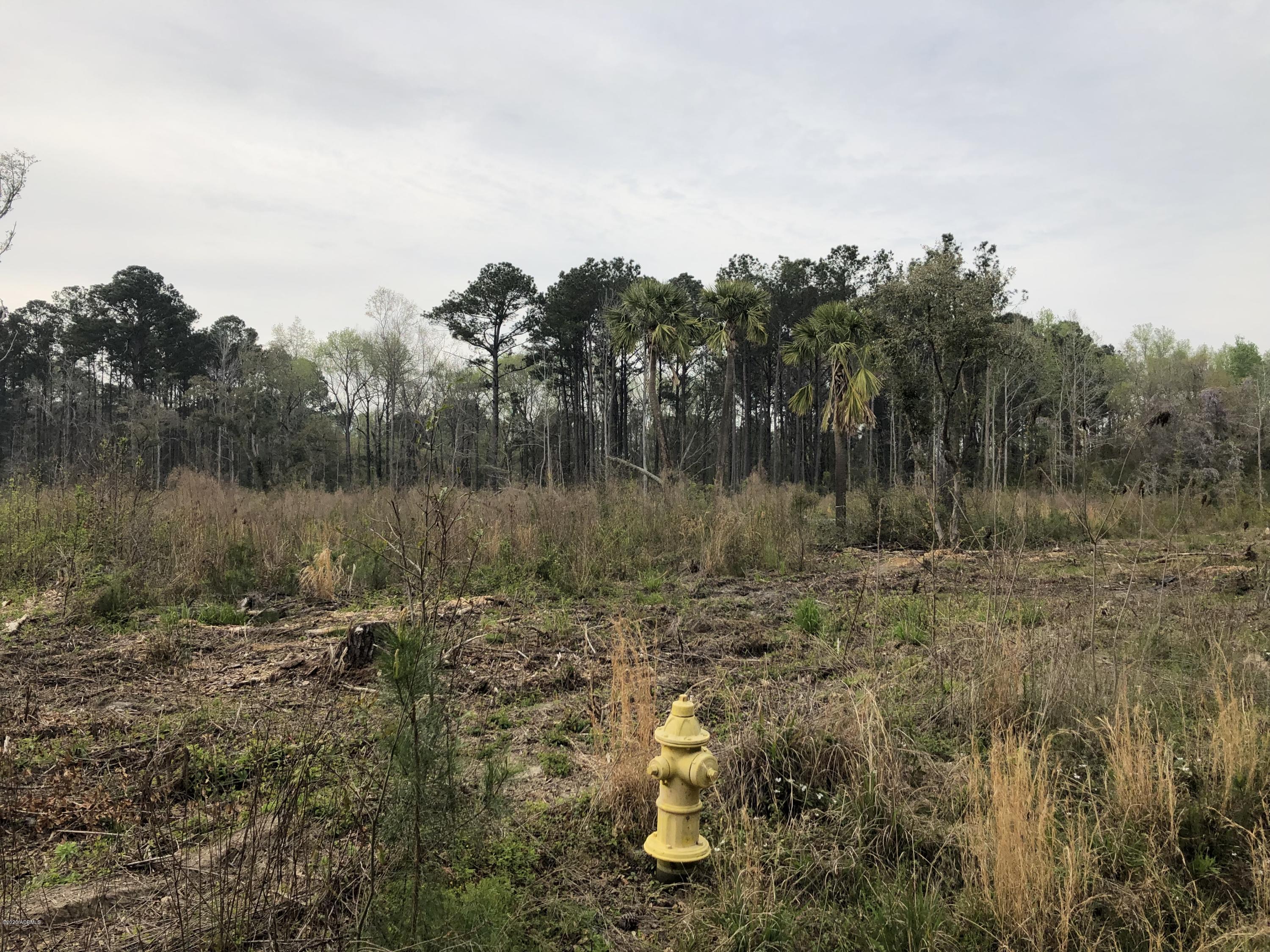 116 State Rd S-7-769 Seabrook, SC 29940 - Photo 20 of 21 IMG_5411