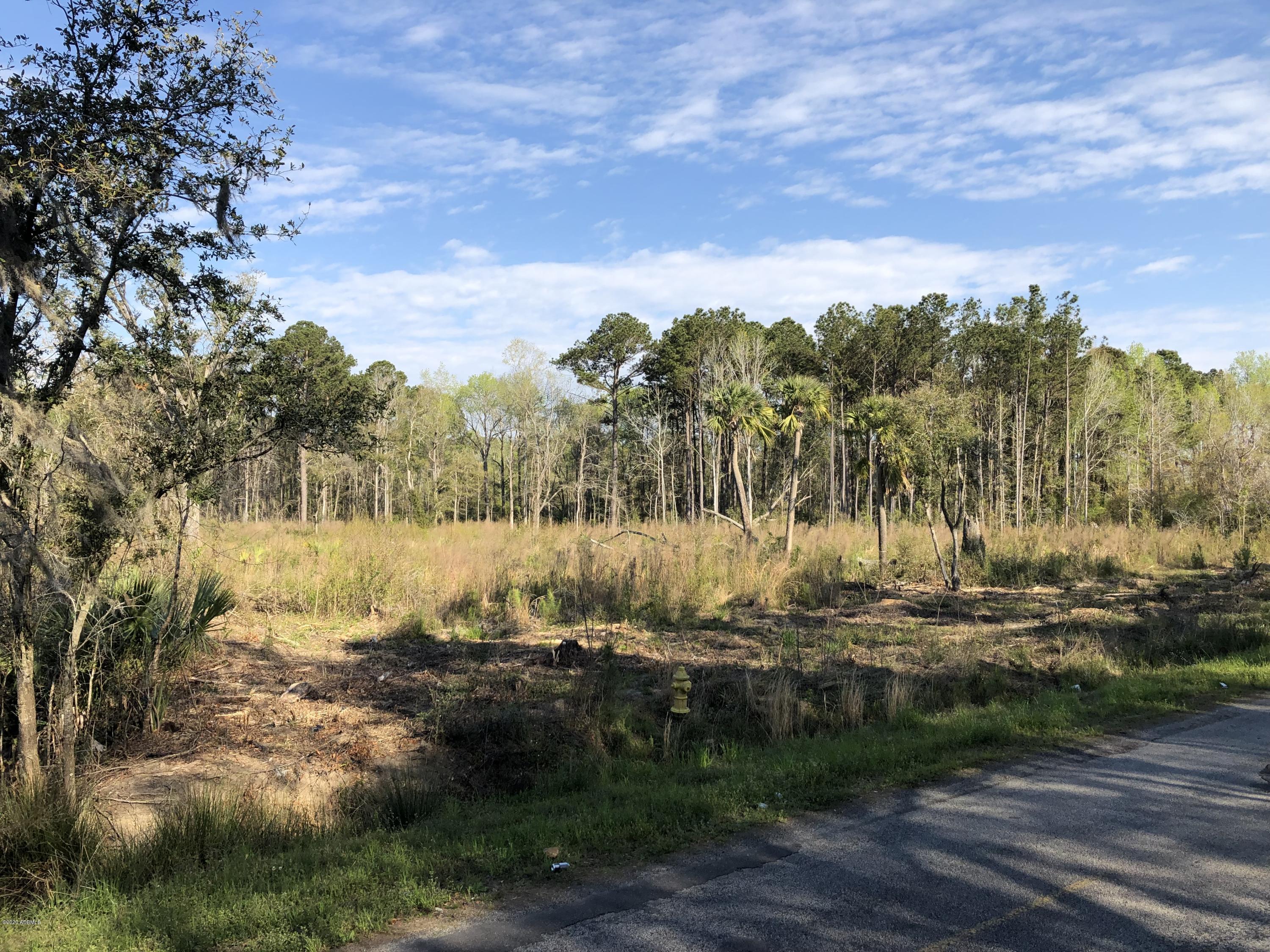 116 State Rd S-7-769 Seabrook, SC 29940 - Photo 3 of 21 IMG_5467